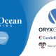 blueocean-gaming-launches-exclusive-oryx-rgs-content-on-gamehub!