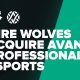 dire-wolves-acquires-avant-gaming,-growing-the-oceanic-powerhouse
