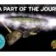 a-wholesome-strategy-game-from-south-africa,-world-turtles,-wins-fan-favorite-vote-21