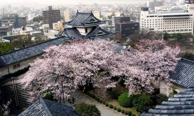 japan-opens-application-window-for-ir-submissions