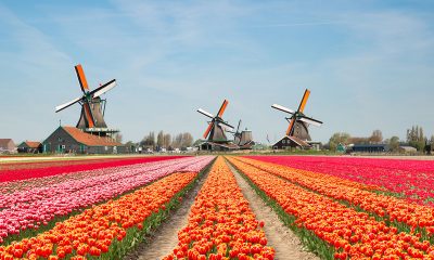 blueprint-gaming-strengthens-netherlands-regulated-market-presence-with-holland-casino