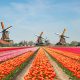blueprint-gaming-strengthens-netherlands-regulated-market-presence-with-holland-casino
