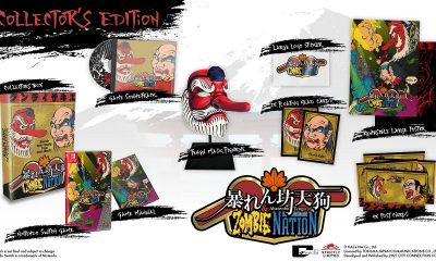 double-trouble-in-dual-variant-–-abarenbo-tengu-&-zombie-nation-for-nintendo-switch-and-nes-compatible-retro-cartridge