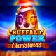 playson-spreads-holiday-cheer-with-buffalo-power-christmas
