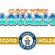 breaking-a-guinness-world-records-title-clockwork-aquario-celebrating-its-global-release-with-a-brand-new-record