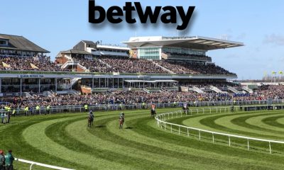 betway-celebrate-huge-milestone-as-they-sponsor-their-4000th-race-in-the-uk-and-ireland