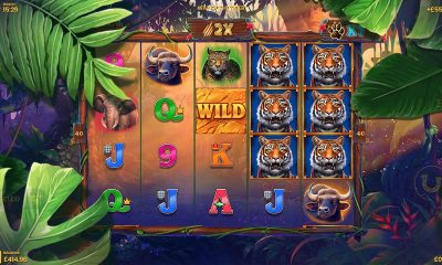 lucksome-gets-its-claws-out-with-way-of-the-tiger