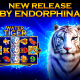 endorphina-releases-a-new-gift-for-the-new-year-–-water-tiger!