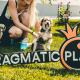 pragmatic-play-make-a-genuine-impact-with-a-wide-range-of-csr-contributions-in-2021