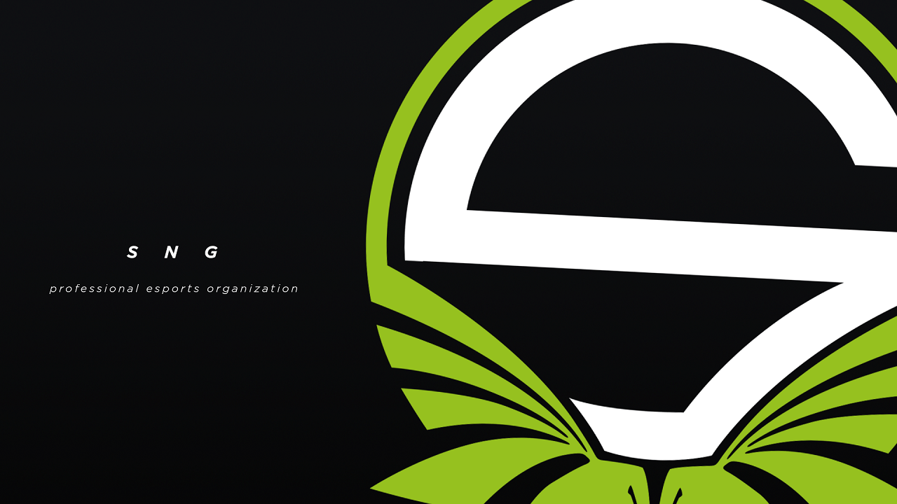 interactive-gaming-group-signs-partnership-with-leading-danish-esports-organisation,-team-singularity