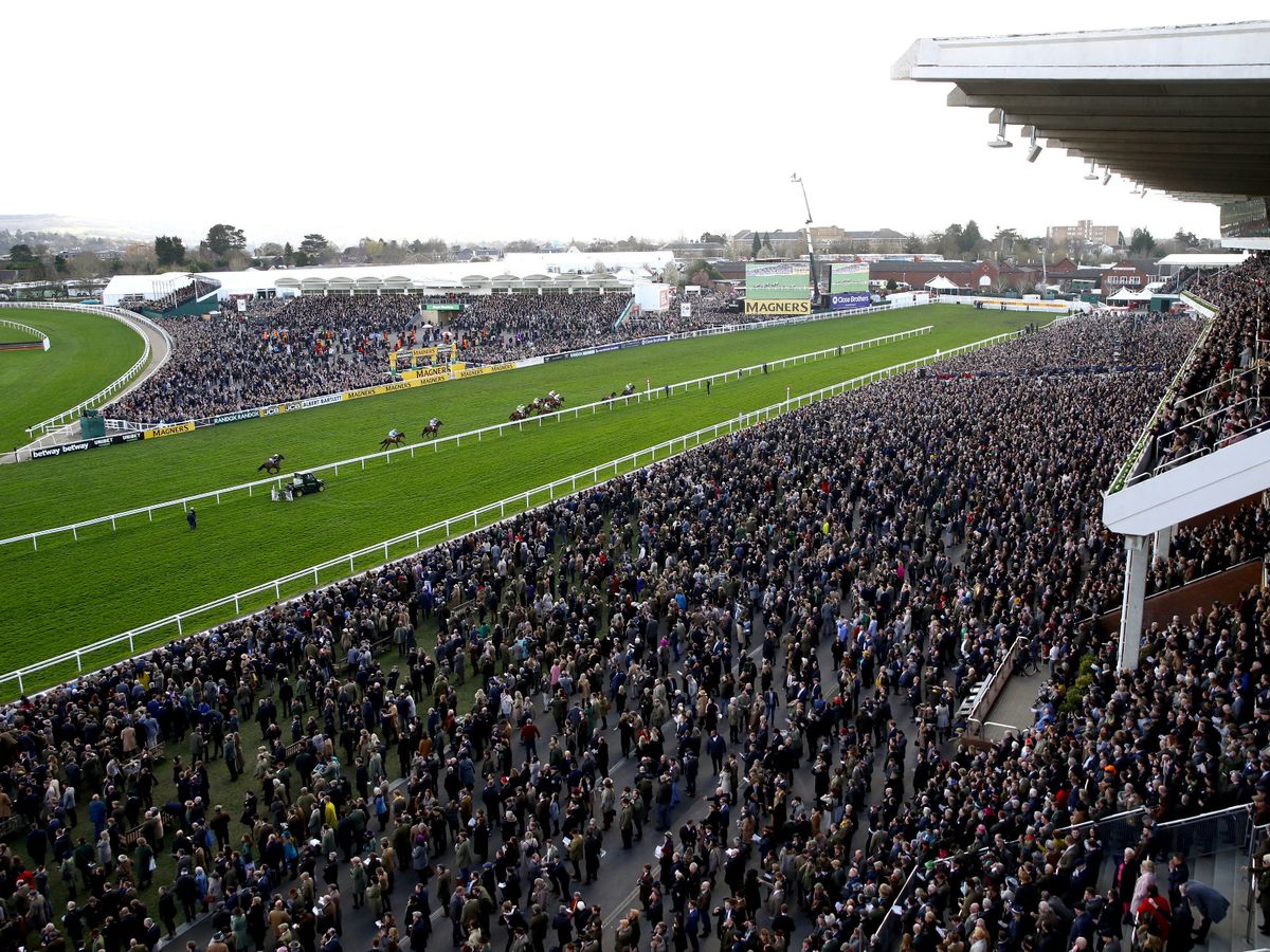 cheltenham:-next-steps-for-horse-racing