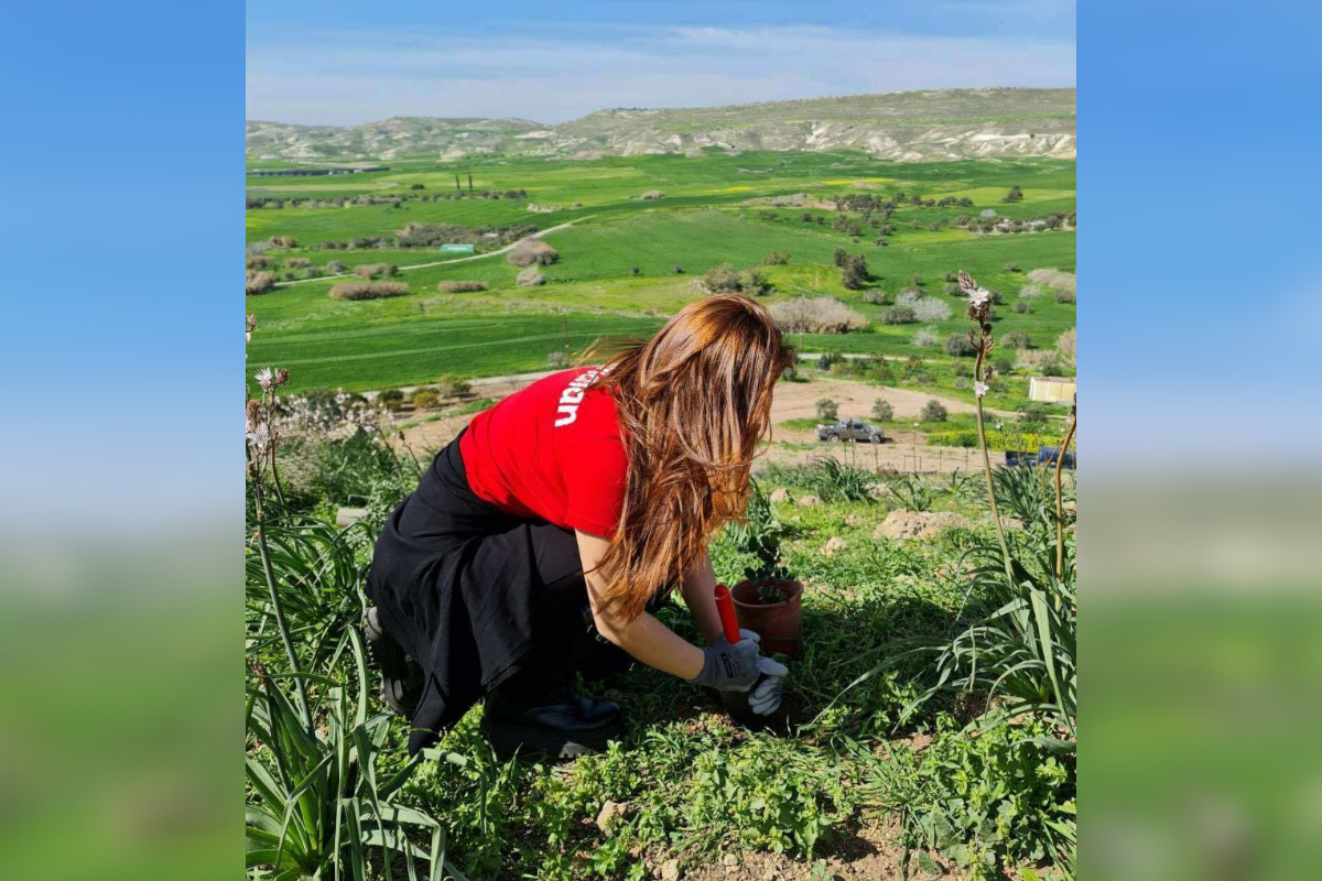 meridianbet-donated-over-1.000-seedlings-in-month-1-of-a-global-environmental-project