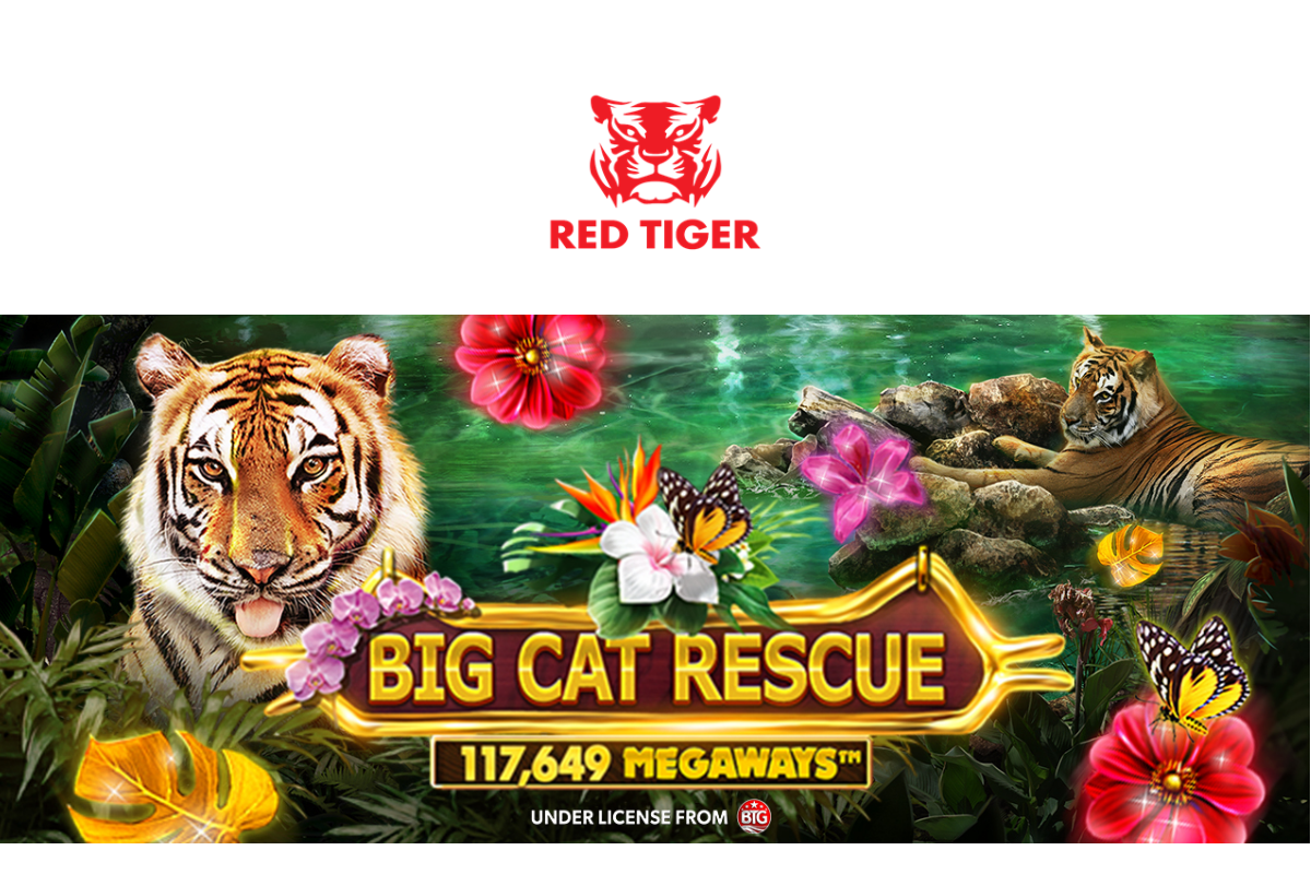 carole-baskin-comes-to-the-slot-world-with-brand-new-red-tiger-launch-of-big-cat-rescue-megaways