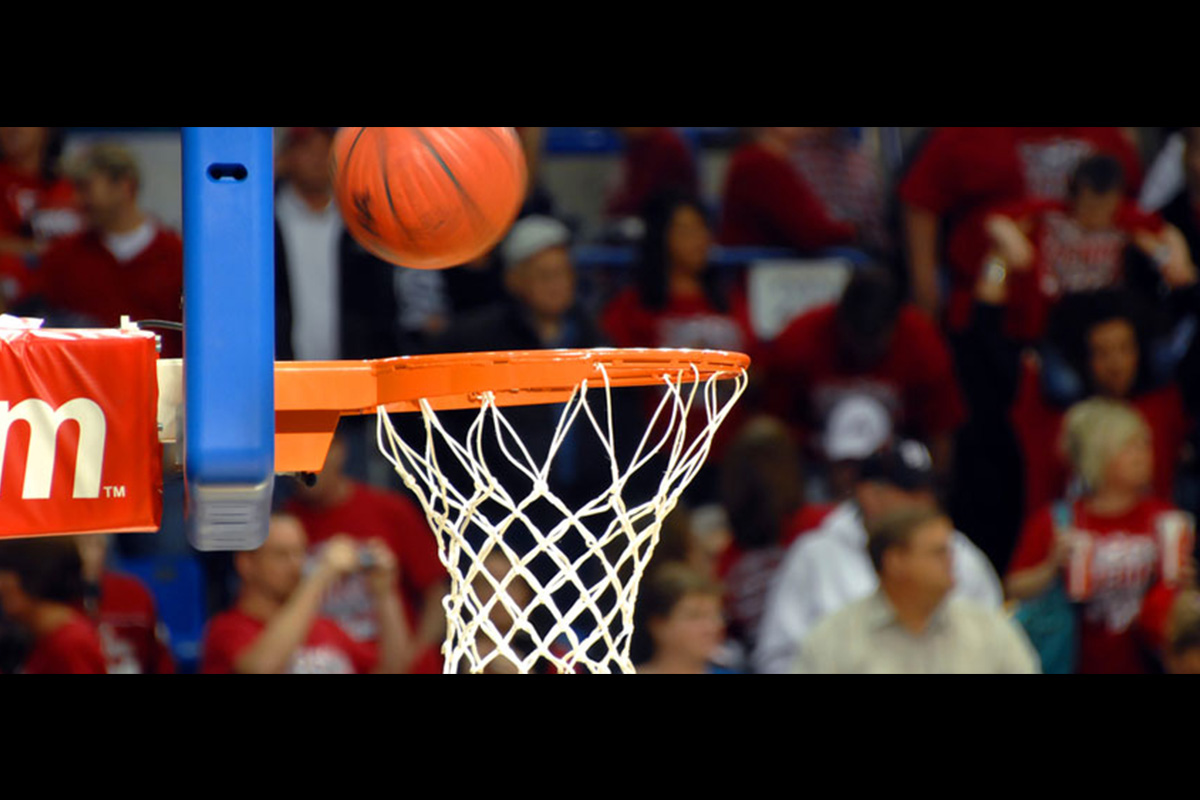sportradar-partners-with-turkish-basketball-federation