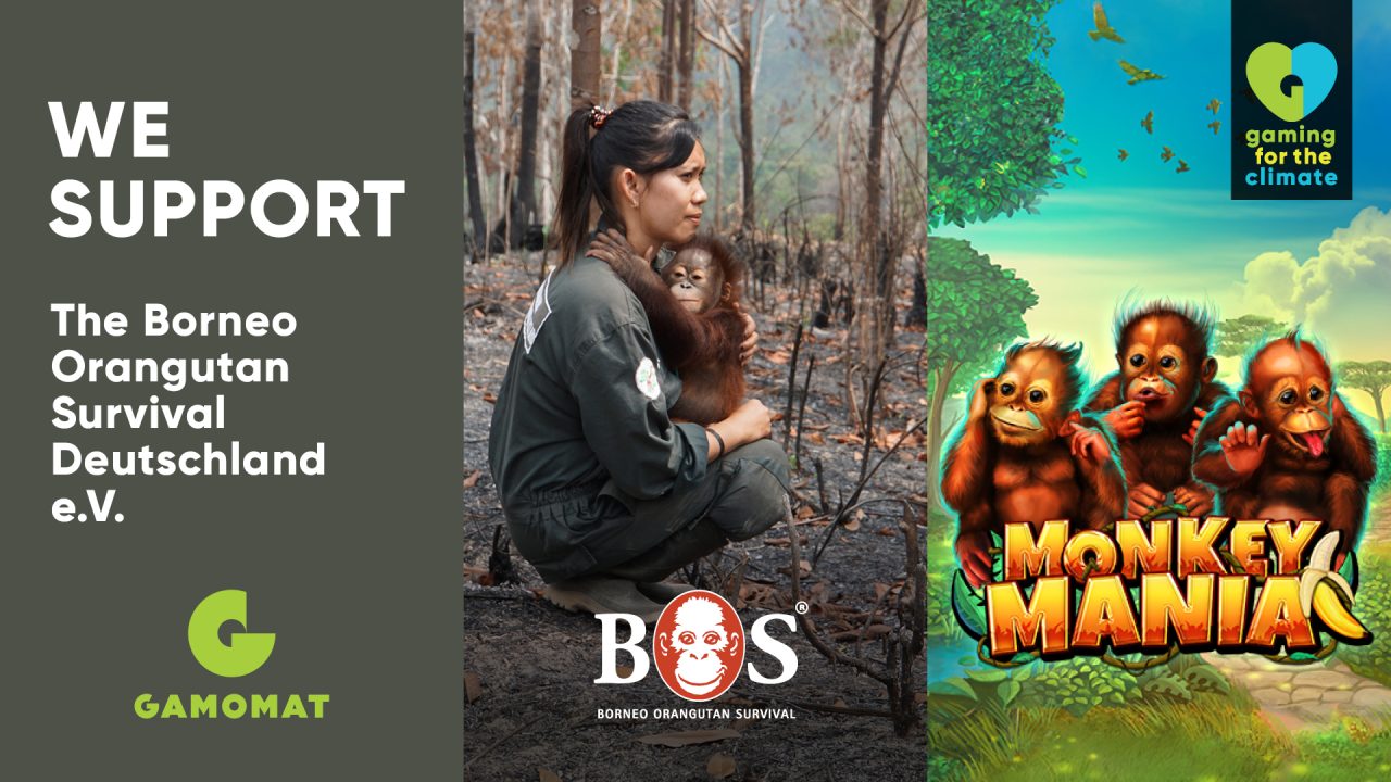 gamomat’s-monkey-mania-to-support-borneo-orangutan-survival-(bos)-as-part-of-gaming-for-the-climate-initiative