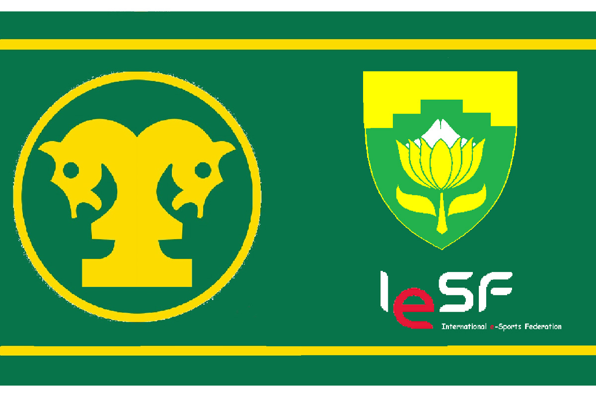 national-federation-colours-on-offer-at-mssa’s-south-african-national-online-esports-championships