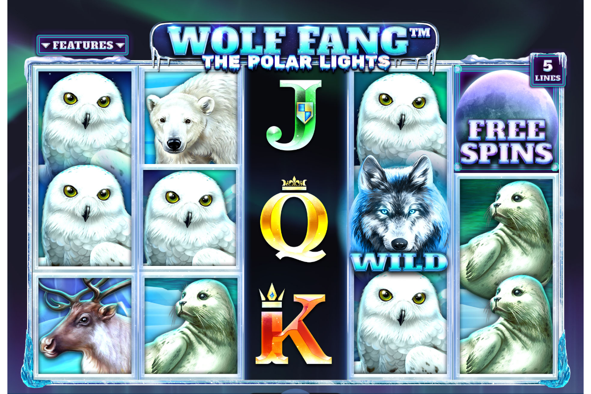 spinomenal-kicks-off-the-year-with-a-new-polar-adventure!