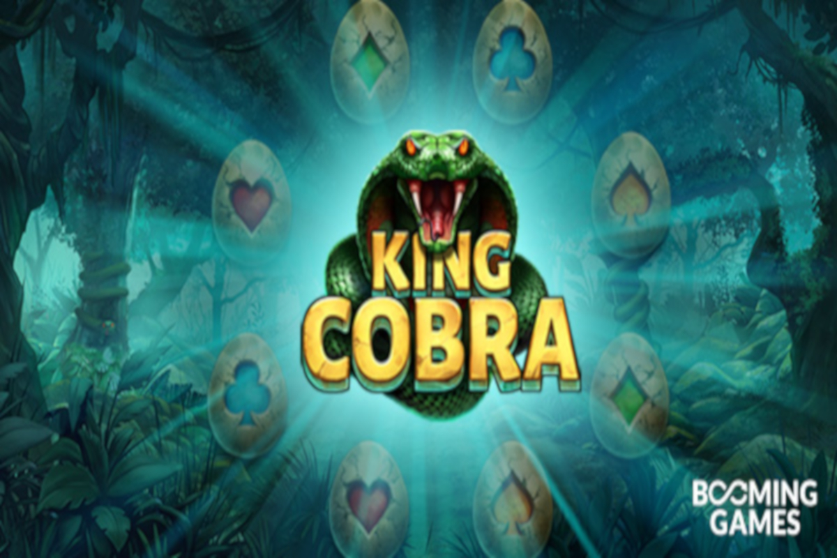king-cobra-stands-up-as-ruler-for-booming-games-next-game