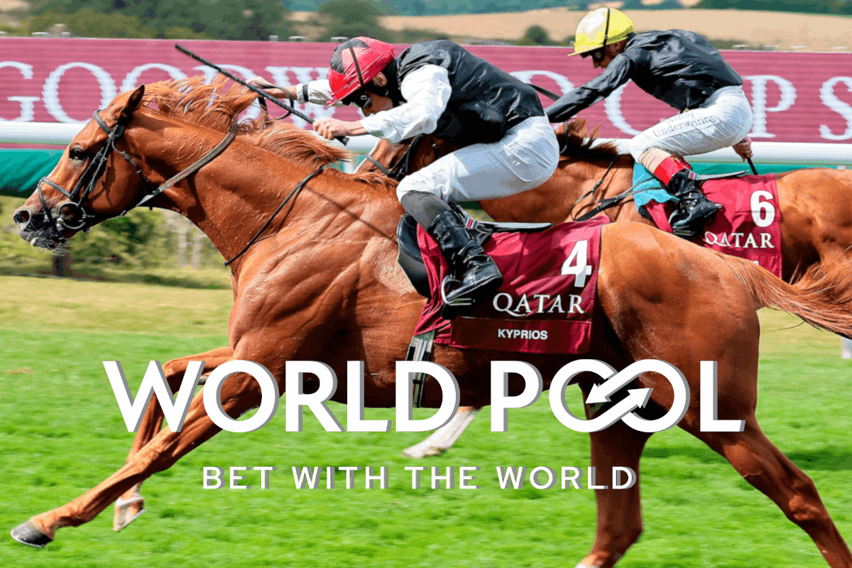 world-pool-stats-and-continues-through-goodwood