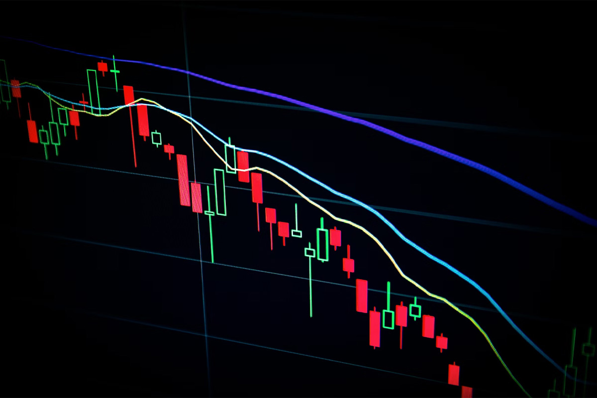 gambling-investments-101:-a-guide-for-the-modern-investor