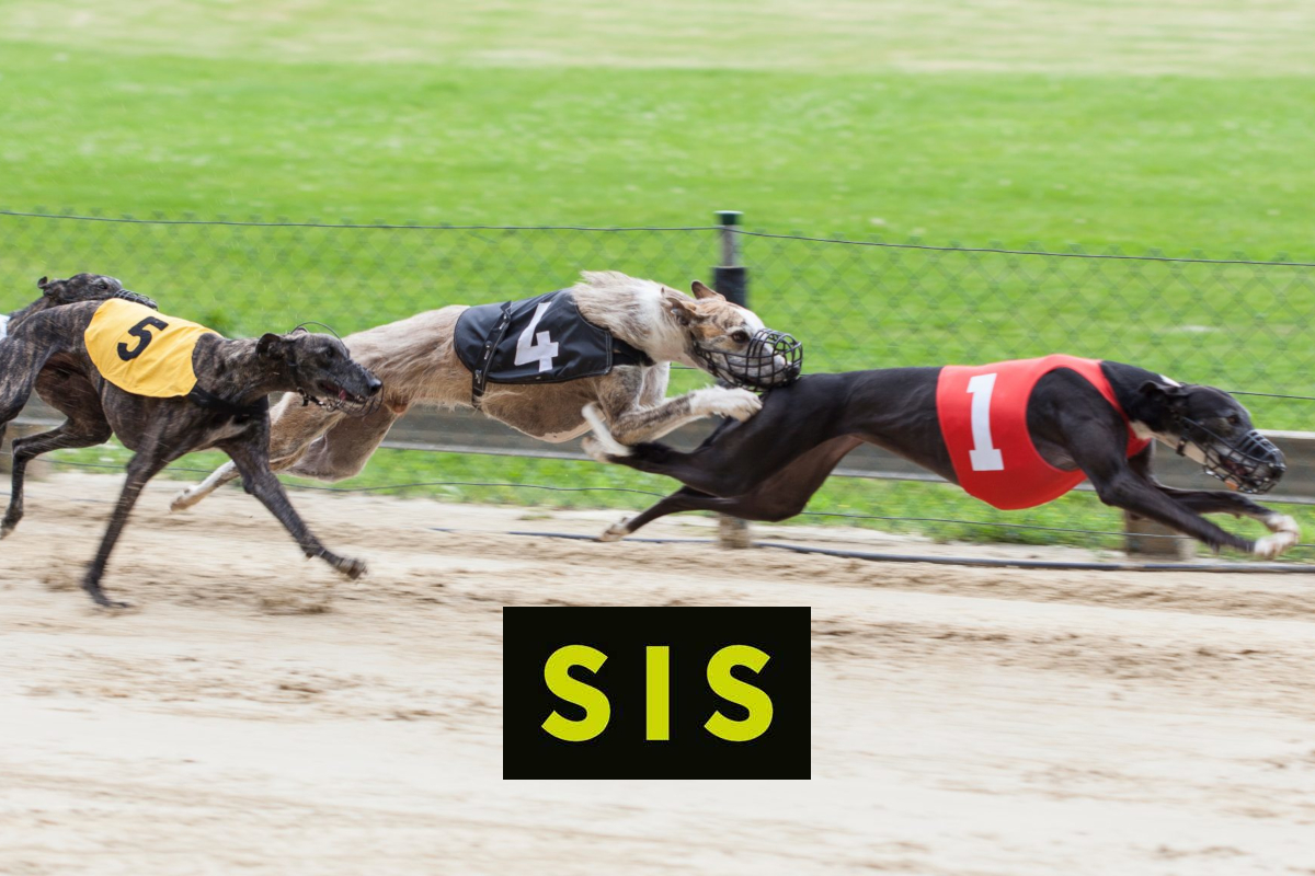 sis-to-deliver-dynamic-new-greyhound-racing-schedule-to-global-operators-in-2024