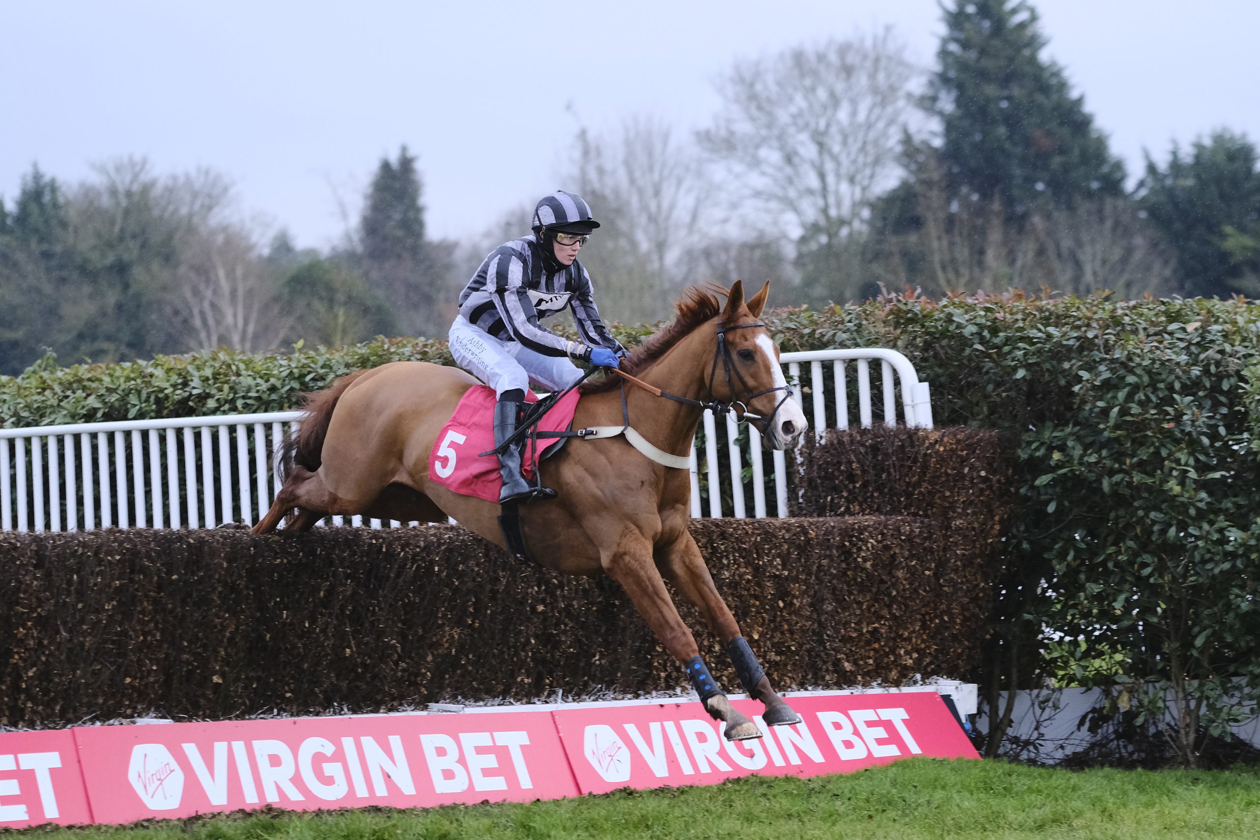 cheltenham-news:-virgin-bet-to-sponsor-december-gold-cup
