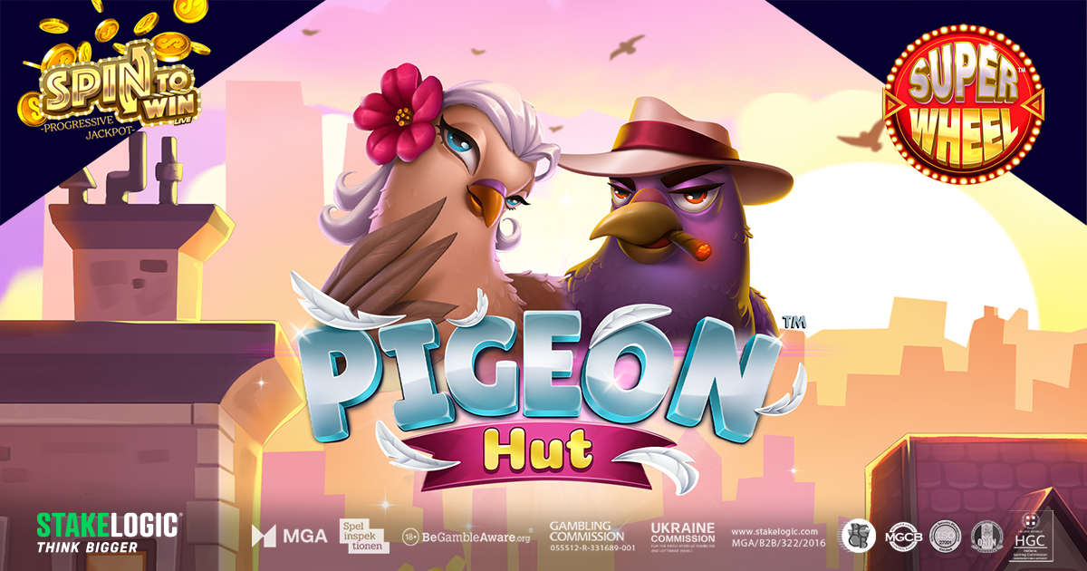 ruffle-some-feathers-in-the-big-city-with-pigeon-hut