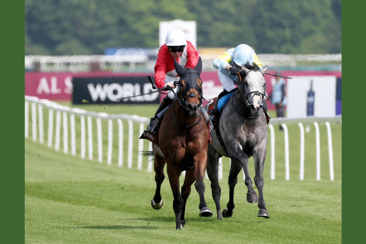 record-world-pool-turnover-on-lockinge-stakes-day-at-newbury