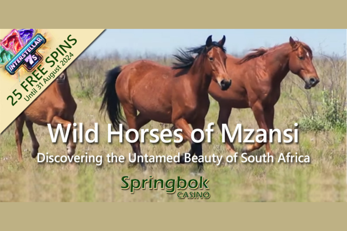 springbok-casino’s-august-feature-celebrates-south-africa’s-wild-horses