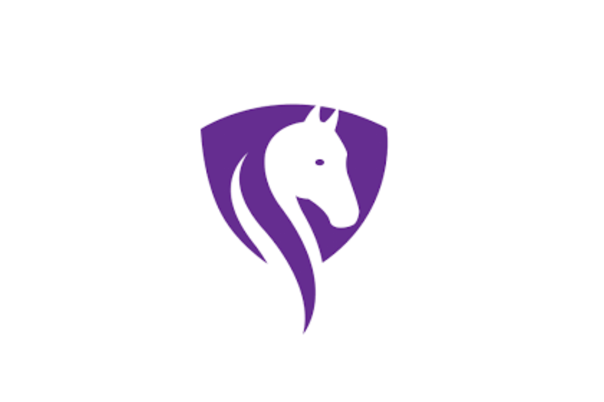 stable-capital-launch-a-financial-advice-service-specifically-tailored-to-the-racing-community