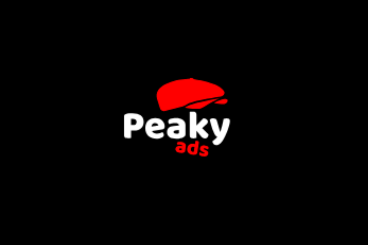 ceo-of-media24-interviewed:-industry-scams,-business-insights-and-seo
